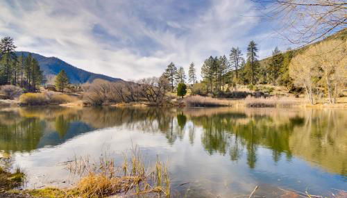 Outdoor Oasis in Pine Mountain Club! Cabin Getaway - Foto 5