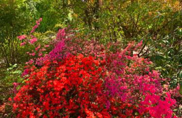 Villa Col di Luna-ProseccoHills - Foto 72