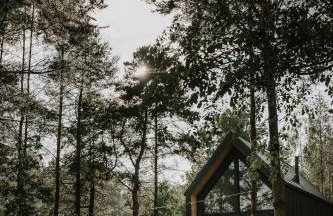 Domek w Lesie - Foto 17