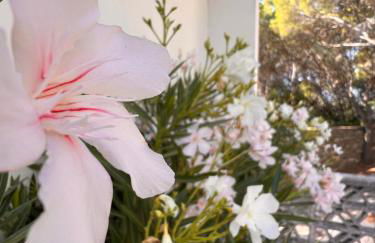 A casa di Ludo - Foto 4