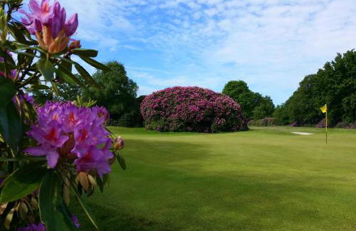 The Dorset Resort - Photo 40