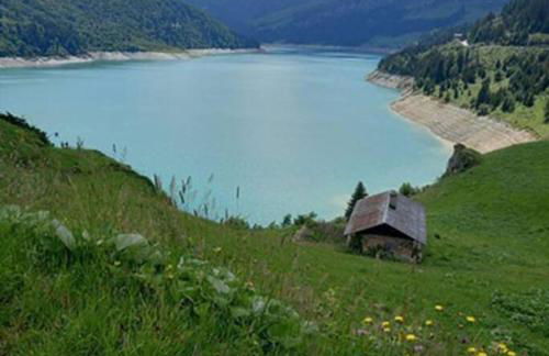 L'appartement LES BOSSONS en lisière de forêt dans le chalet Génépi - Foto 6