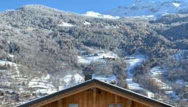 Somptueux Chalet 12 personnes - Villaroger - Foto 2