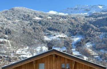 Somptueux Chalet 12 personnes - Villaroger - Foto 2