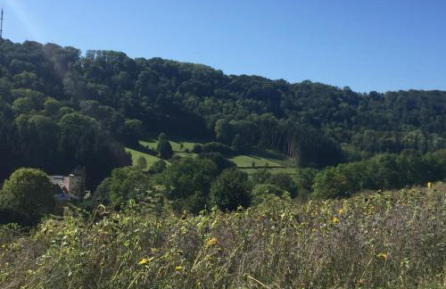 Ferienidyll Aumühle "Muswiese" - Foto 40