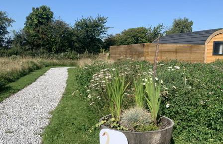 Dwell on the Moor - Foto 35