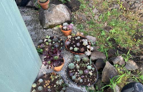 Majestic Banya tree cabin - Foto 9