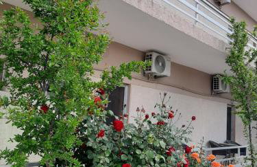 STUDIOS MONA - Photo 17