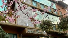 LUXUOSO APT ALMERIS PECCIN no Centro de GRAMADO - Foto 5