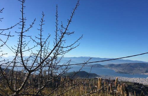 Aethri Pelion Suites - Foto 10