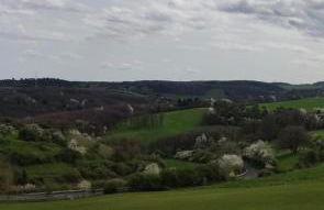 Ferienhaus Vogelsberg - Photo 21