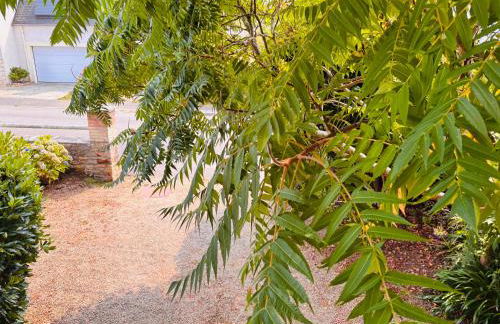 Maison proche centre Carantec - Foto 42