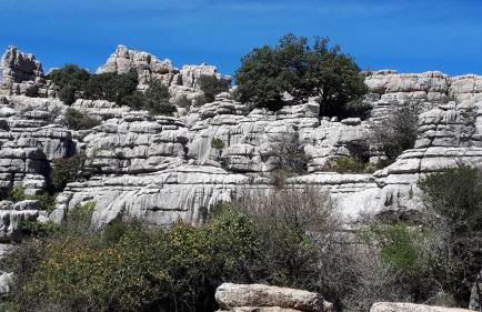 Casa Siempre feliz - Foto 37