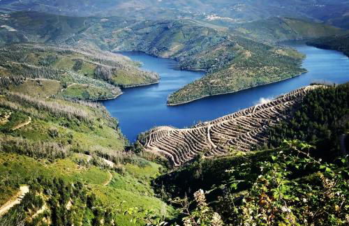 PampiHouse, casa de xisto junto ao rio - Foto 31