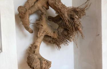 Ferienwohnung am Schlössle - Foto 29