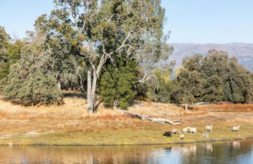 Rolling Oaks Ranch - 200 Acres of Lakeside Beauty & Countryside Serenity - Foto 31