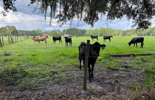 Peaceful Country Retreat - Foto 41