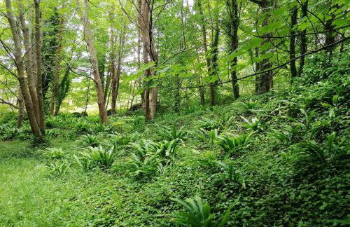 LES HAUTS VENTS - Foto 65