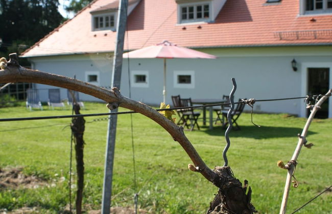 Ferienwohnungen Haus Steinbach - Foto 35