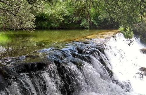 Casa D.Dinis - Foto 40