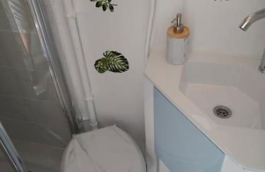 hauts des 2 lions -studio - Foto 10