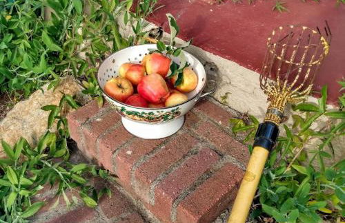 Summer-house OASIS on quiet street in ROCKRIDGE - Photo 39