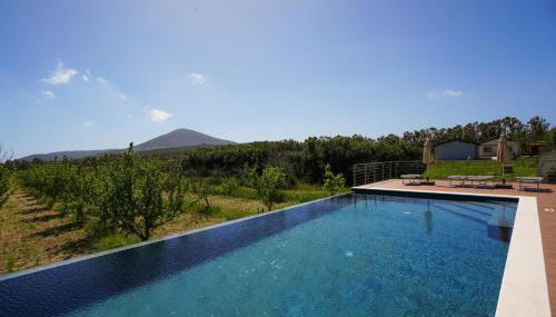 Agriturismo Casale Degli Ulivi Alghero - Foto 3
