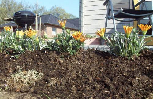 Ferienhaus _ Sonnenschein - Foto 12