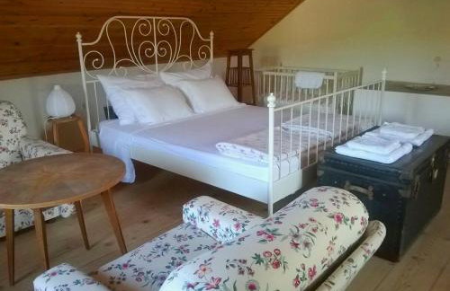 D HOUSE authentic Zlarin house, relaxing courtyard and terrace - Photo 8