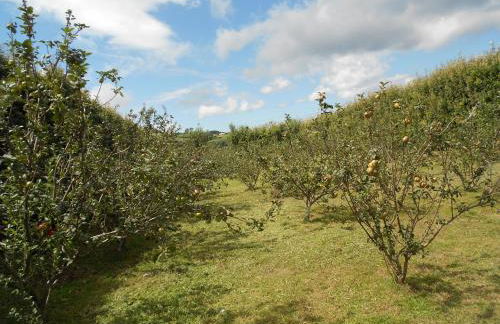 Quinta Rico - House II - Photo 52