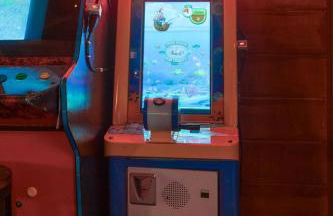 Pirate Cove by OC Adventure Homes - Foto 24