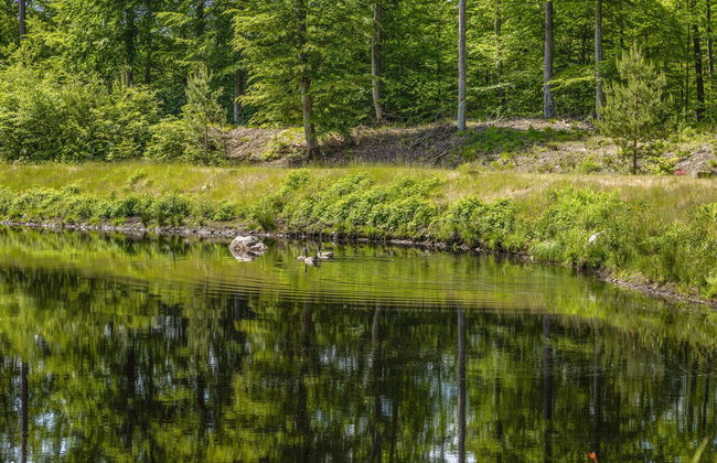 Erikstorp 142 - Foto 27