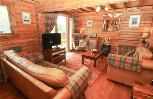 Thistle Dubh "Doo" - Foto 5