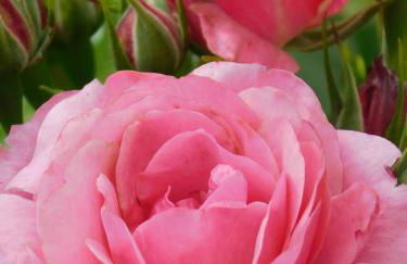 Ferienhof - Rauhenberg - Foto 31