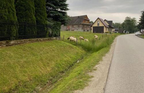 Dom Muminków Kotelnica - Foto 26