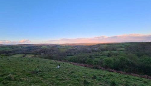 The Dairy - Quaint 1Br in Dartmoor National Park - Foto 3