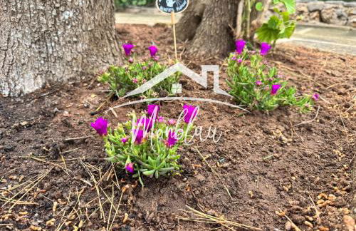 Sa Torreta 1 - Foto 18