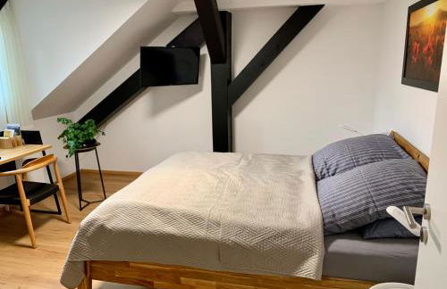 Gala Apartment am Kurpark - Foto 7