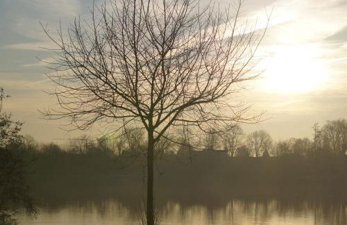 Ferienwohnung Casa Di Lago 2 - Foto 29