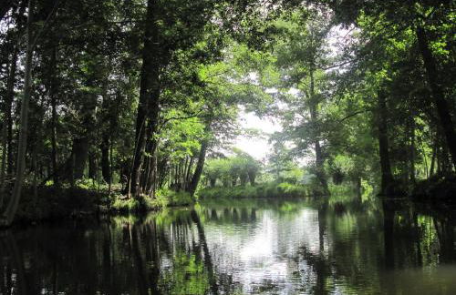 Spreewaldhaus zum Schoberplatz - Foto 20