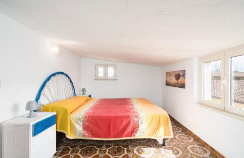 Tasa tiago - Foto 16