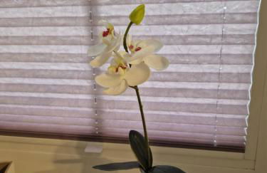 Gästequartier Schlummerkasten - Foto 7