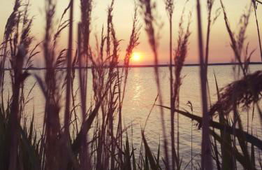 Schuhsterhus am Bodden - Foto 14