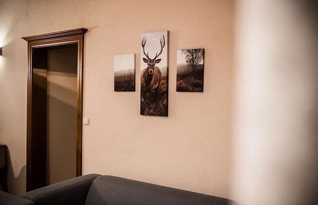 Leśna Oaza - Foto 6