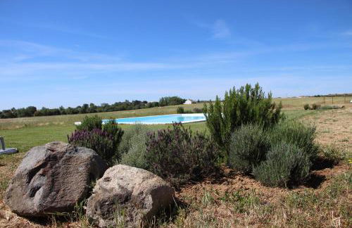 Monte Da Azarujinha - Foto 18