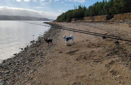 Izzi Mobile Home - Terra Park SpiritoS - Photo 49