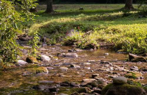 Up the Creek - Foto 4