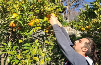 Registered Accomodation 4 stars and 30mn Nice Cannes Antibes - Foto 17