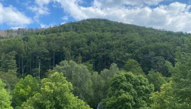 Apartment am Park - Foto 2