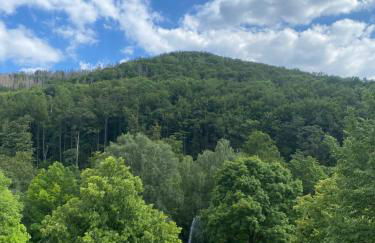 Apartment am Park - Foto 2